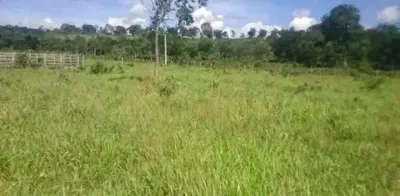 Chácara 1.800M² 100% Plana, Toda Terra de Plantio, Jaboticatubas (Temos Varias