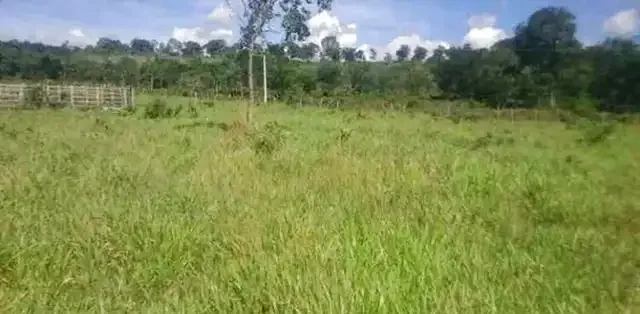 Chácara 1.800M² 100% Plana, Toda Terra de Plantio, Jaboticatubas (Temos Varias