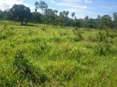 Chácara 1.800M² 100% Plana, Toda Terra de Plantio, Jaboticatubas (Temos Varias