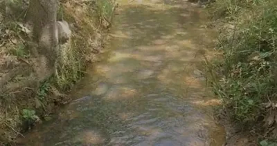 Chácara aconchegante com água por gravidade dentro do terreno