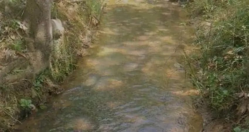 Chácara aconchegante com água por gravidade dentro do terreno