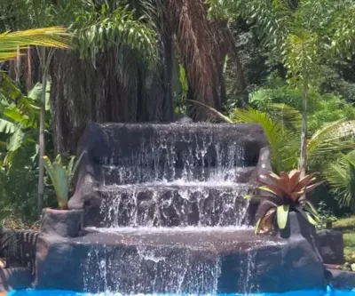 Sitio aconchegante pronto pra vc curtir com sua família ou alugar