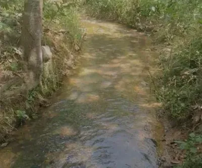 Chácara perto do centro de Almeida perto de supermercado farmácia upa