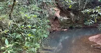 Lindas fazendinha com água natural temos com nascente as margens da Mg 10