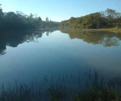 Lindas fazendinha com água natural temos com nascente as margens da Mg 10