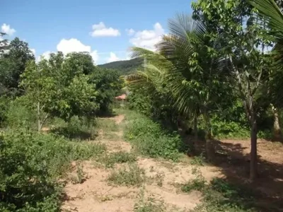 Oportunidade de Adquirir Seu Sitio em Meio À Natureza, Baldim (Temos Varias Opções)
