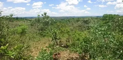 Chácara de 20Mil Metros Plana a 2.3Km da Mg10 com Vista Maravilhosa!