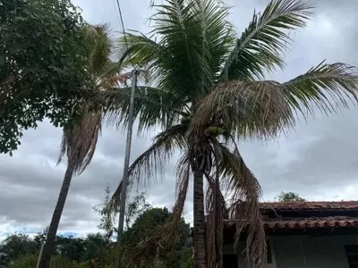 Sitio de 600m² com casa, próximo a Lagoa Santa, temos varias opções.