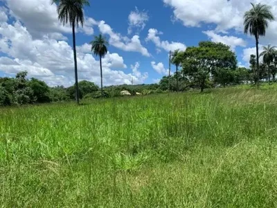 Terreno 4.5 ha, 100% formado em pastagem, agua corrente nos fundos, pomar.
