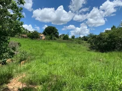 Terreno 4.5 ha, 100% formado em pastagem, agua corrente nos fundos, pomar.