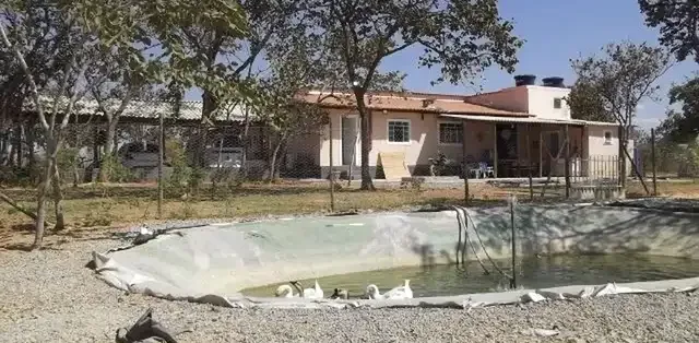Sitio 20.000M² Bem Localizado, com Sauna, Piscina, Poço de Peixe Artificial