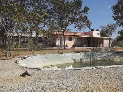 Sitio 20.000M² Bem Localizado, com Sauna, Piscina, Poço de Peixe Artificial