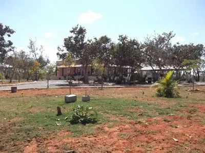 Sitio 20.000M² Bem Localizado, com Sauna, Piscina, Poço de Peixe Artificial