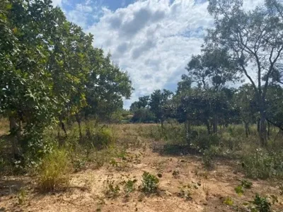 Sitio 4.00M² Todo Plano,Com Poço Artesiano Jaboticatubas
