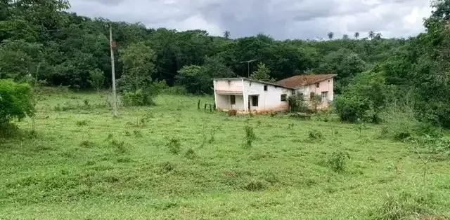 Fazenda 3Ha, com 3Km de Beira de Rio, Nascente no Terreno, Terra de Cultivo, Lagoa Santa