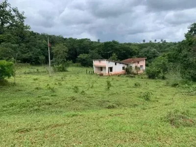 Fazenda 3Ha, com 3Km de Beira de Rio, Nascente no Terreno, Terra de Cultivo, Lagoa Santa