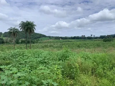 Fazenda 3Ha, com 3Km de Beira de Rio, Nascente no Terreno, Terra de Cultivo, Lagoa Santa
