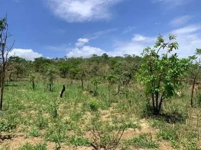 Terreno Rural 7.8Ha, Casa Antiga, Barracão, Arvores Frutíferas, 2 Nascentes,2 Lagoas