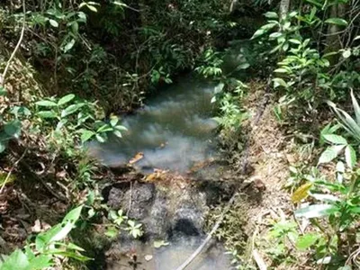 Terreno Rural 7.8Ha, Casa Antiga, Barracão, Arvores Frutíferas, 2 Nascentes,2 Lagoas