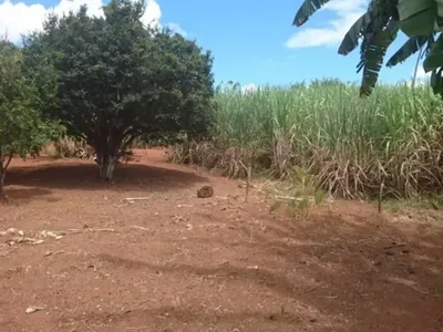 Fazendinha de 17 Hectares Plana a 6.5 Km da Mg 10!