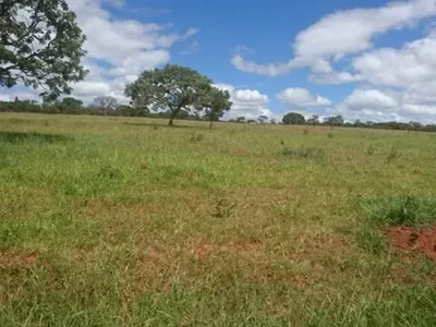 Fazendinha de 17 Hectares Plana a 6.5 Km da Mg 10!