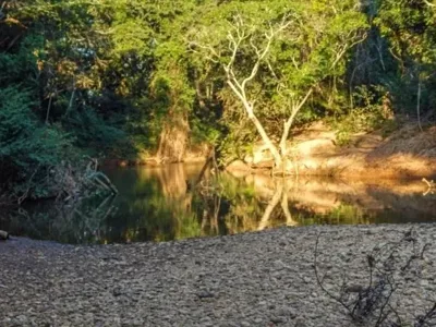 Fazendinha de 20.000M² com Rio nos Fundos, Jaboticatubas (Temos Varias Opções)